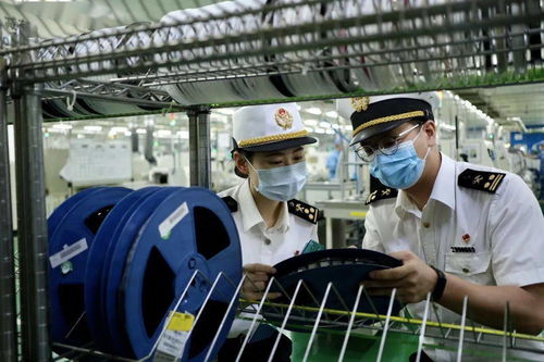監管創新助鯤鵬企業騰飛 企業管理咨詢的新引擎